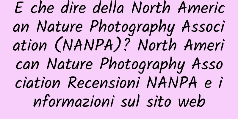 E che dire della North American Nature Photography Association (NANPA)? North American Nature Photography Association Recensioni NANPA e informazioni sul sito web