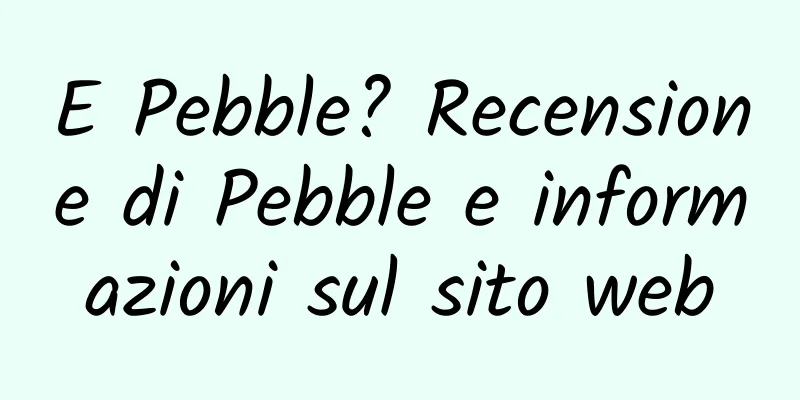 E Pebble? Recensione di Pebble e informazioni sul sito web