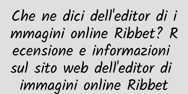 Che ne dici dell'editor di immagini online Ribbet? Recensione e informazioni sul sito web dell'editor di immagini online Ribbet