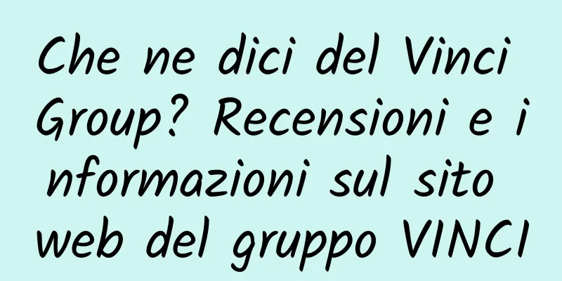 Che ne dici del Vinci Group? Recensioni e informazioni sul sito web del gruppo VINCI