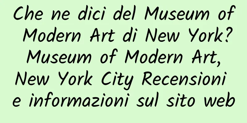 Che ne dici del Museum of Modern Art di New York? Museum of Modern Art, New York City Recensioni e informazioni sul sito web