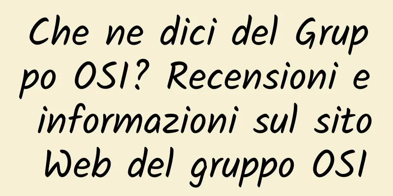 Che ne dici del Gruppo OSI? Recensioni e informazioni sul sito Web del gruppo OSI