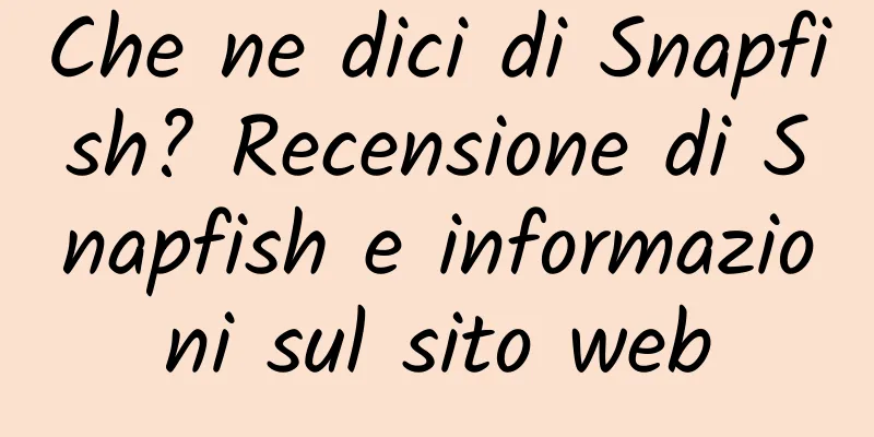Che ne dici di Snapfish? Recensione di Snapfish e informazioni sul sito web