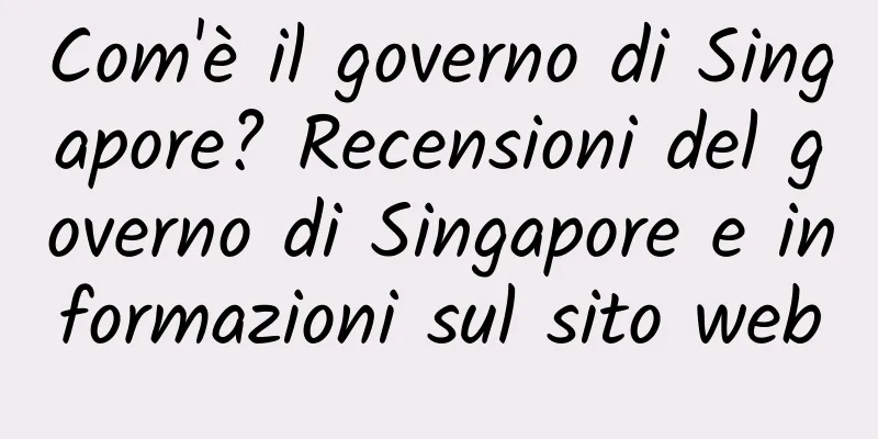 Com'è il governo di Singapore? Recensioni del governo di Singapore e informazioni sul sito web