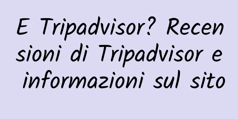 E Tripadvisor? Recensioni di Tripadvisor e informazioni sul sito