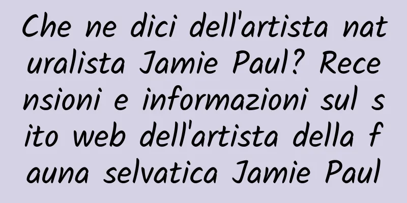 Che ne dici dell'artista naturalista Jamie Paul? Recensioni e informazioni sul sito web dell'artista della fauna selvatica Jamie Paul