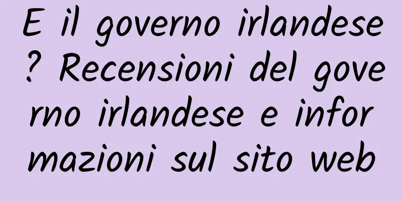 E il governo irlandese? Recensioni del governo irlandese e informazioni sul sito web