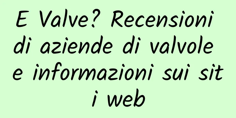 E Valve? Recensioni di aziende di valvole e informazioni sui siti web