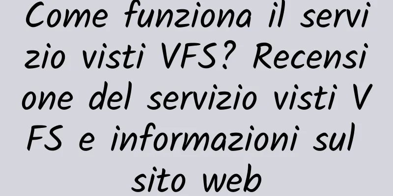 Come funziona il servizio visti VFS? Recensione del servizio visti VFS e informazioni sul sito web