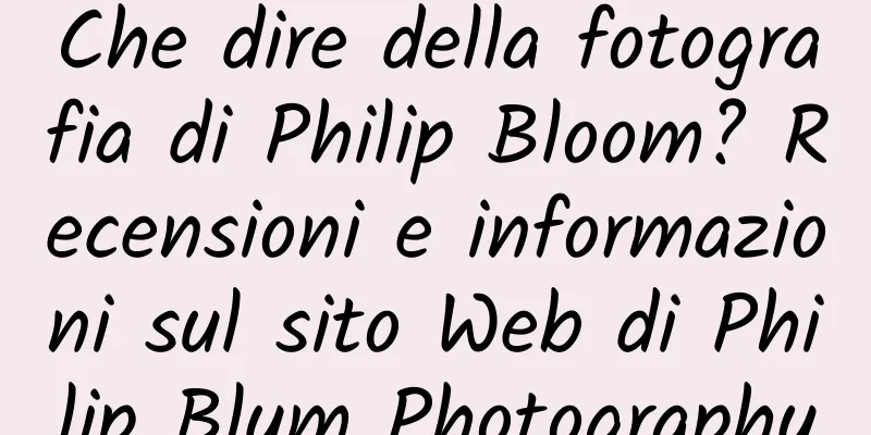 Che dire della fotografia di Philip Bloom? Recensioni e informazioni sul sito Web di Philip Blum Photography