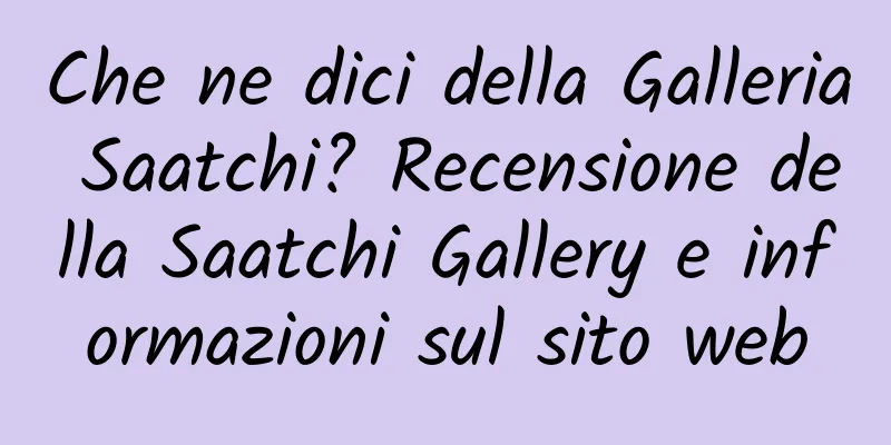 Che ne dici della Galleria Saatchi? Recensione della Saatchi Gallery e informazioni sul sito web