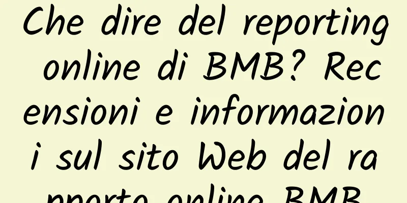 Che dire del reporting online di BMB? Recensioni e informazioni sul sito Web del rapporto online BMB