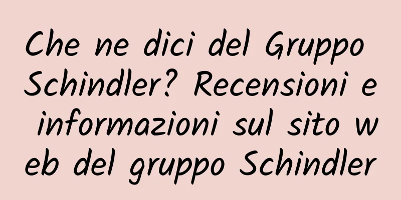 Che ne dici del Gruppo Schindler? Recensioni e informazioni sul sito web del gruppo Schindler