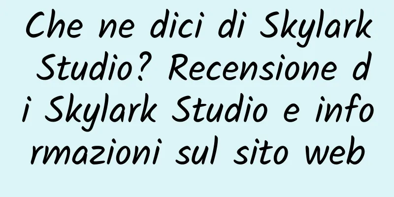 Che ne dici di Skylark Studio? Recensione di Skylark Studio e informazioni sul sito web