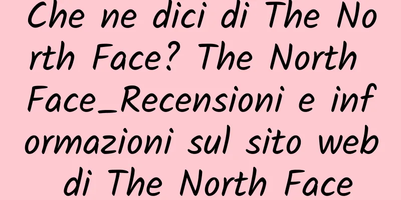 Che ne dici di The North Face? The North Face_Recensioni e informazioni sul sito web di The North Face
