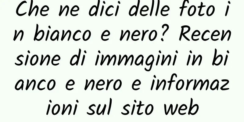 Che ne dici delle foto in bianco e nero? Recensione di immagini in bianco e nero e informazioni sul sito web