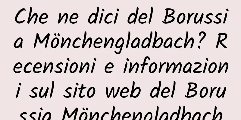 Che ne dici del Borussia Mönchengladbach? Recensioni e informazioni sul sito web del Borussia Mönchengladbach