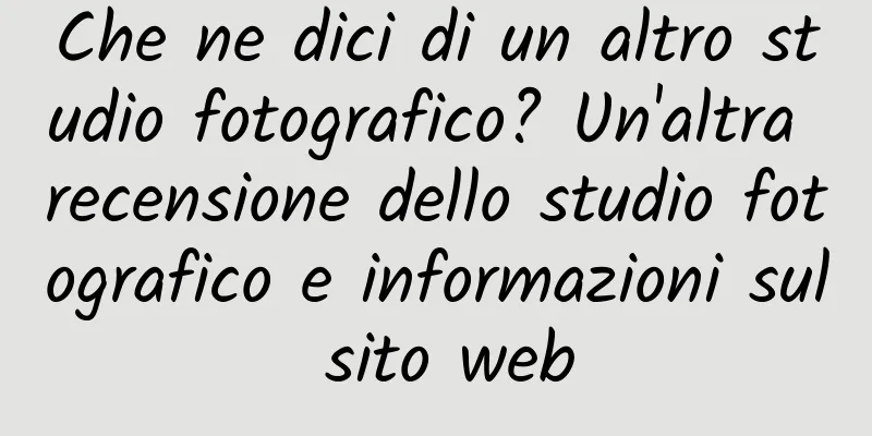Che ne dici di un altro studio fotografico? Un'altra recensione dello studio fotografico e informazioni sul sito web