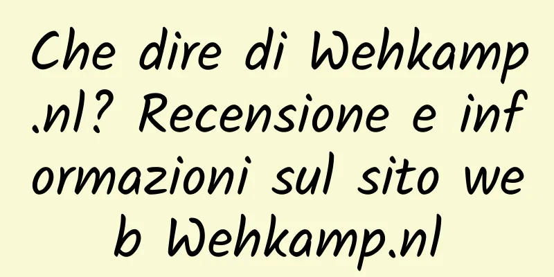 Che dire di Wehkamp.nl? Recensione e informazioni sul sito web Wehkamp.nl