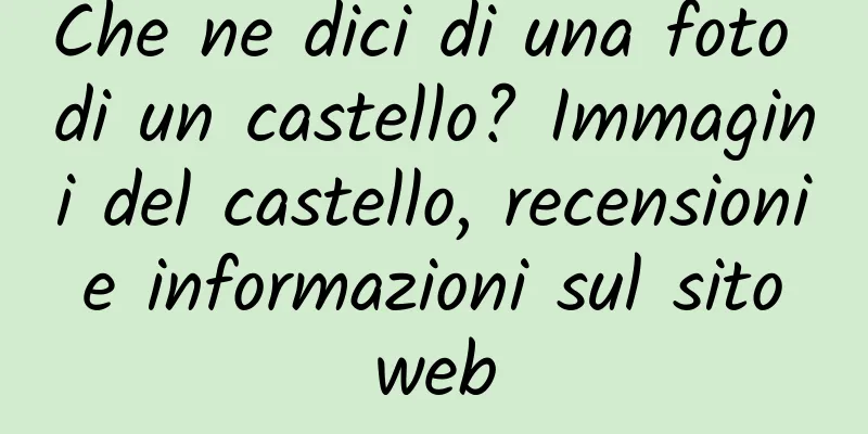 Che ne dici di una foto di un castello? Immagini del castello, recensioni e informazioni sul sito web