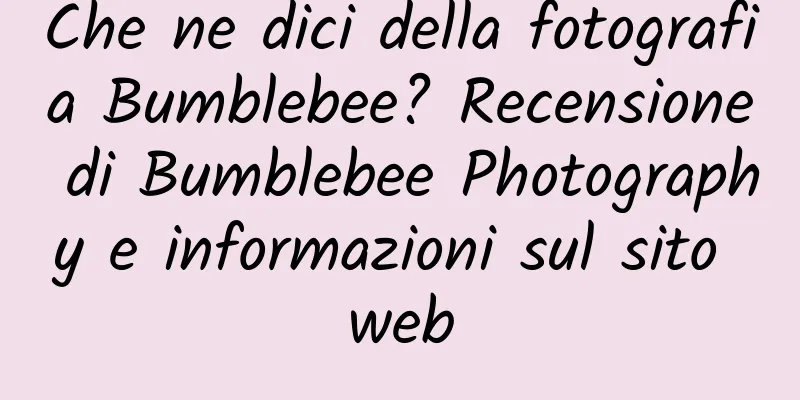 Che ne dici della fotografia Bumblebee? Recensione di Bumblebee Photography e informazioni sul sito web