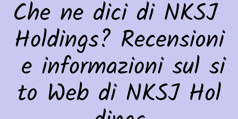 Che ne dici di NKSJ Holdings? Recensioni e informazioni sul sito Web di NKSJ Holdings