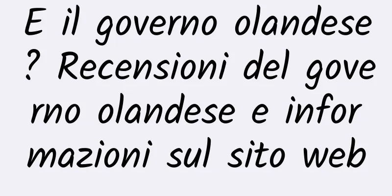 E il governo olandese? Recensioni del governo olandese e informazioni sul sito web