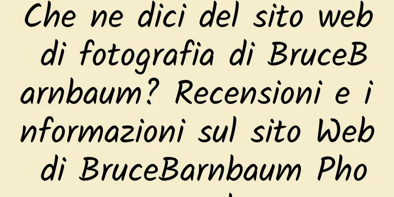 Che ne dici del sito web di fotografia di BruceBarnbaum? Recensioni e informazioni sul sito Web di BruceBarnbaum Photography
