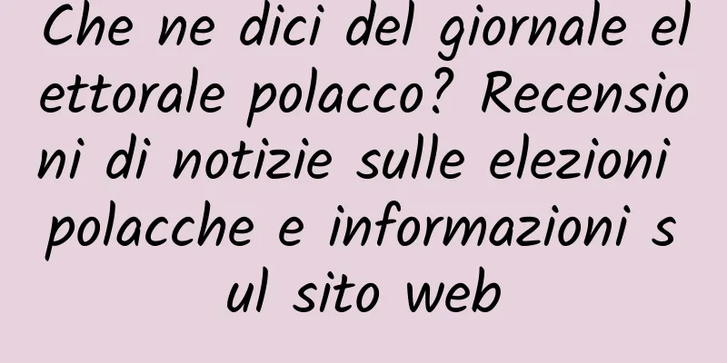 Che ne dici del giornale elettorale polacco? Recensioni di notizie sulle elezioni polacche e informazioni sul sito web