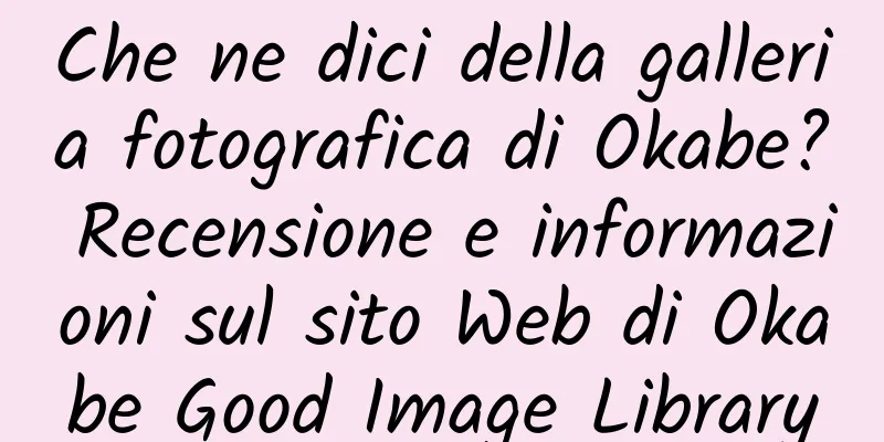 Che ne dici della galleria fotografica di Okabe? Recensione e informazioni sul sito Web di Okabe Good Image Library