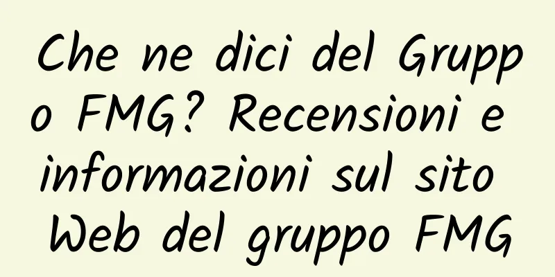 Che ne dici del Gruppo FMG? Recensioni e informazioni sul sito Web del gruppo FMG