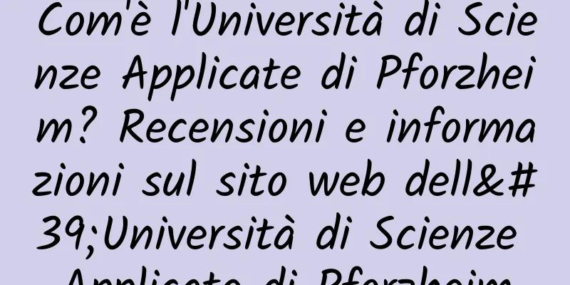 Com'è l'Università di Scienze Applicate di Pforzheim? Recensioni e informazioni sul sito web dell'Università di Scienze Applicate di Pforzheim
