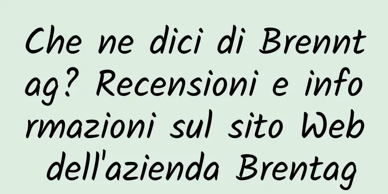 Che ne dici di Brenntag? Recensioni e informazioni sul sito Web dell'azienda Brentag