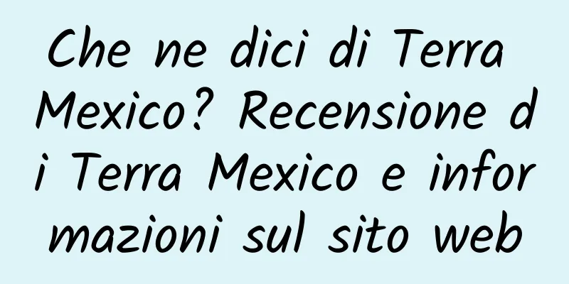 Che ne dici di Terra Mexico? Recensione di Terra Mexico e informazioni sul sito web