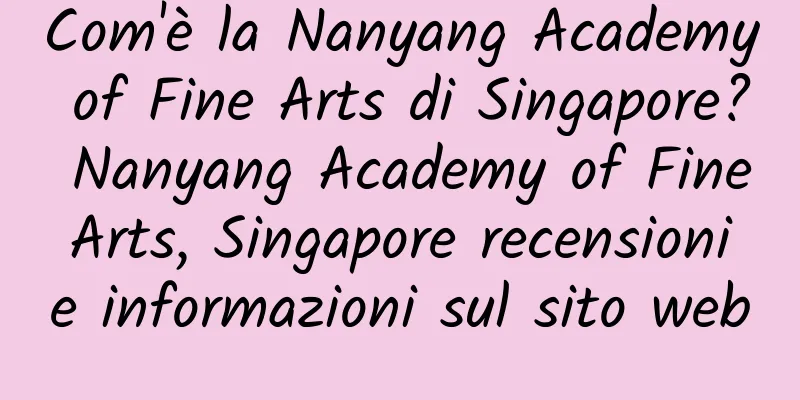 Com'è la Nanyang Academy of Fine Arts di Singapore? Nanyang Academy of Fine Arts, Singapore recensioni e informazioni sul sito web