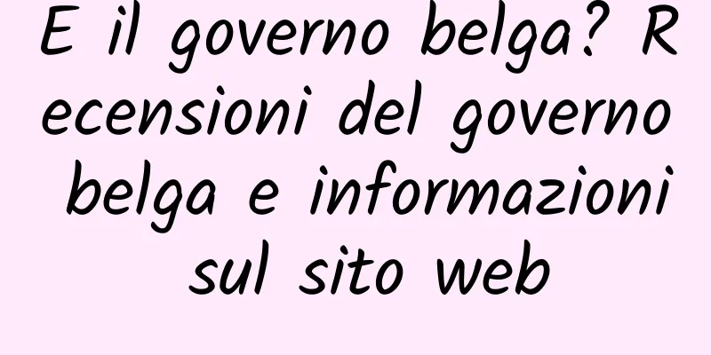 E il governo belga? Recensioni del governo belga e informazioni sul sito web