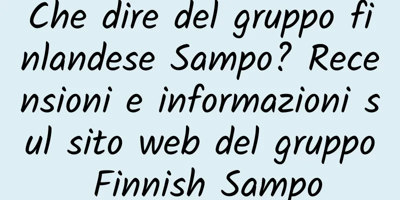 Che dire del gruppo finlandese Sampo? Recensioni e informazioni sul sito web del gruppo Finnish Sampo