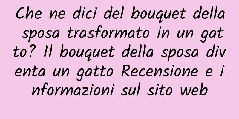 Che ne dici del bouquet della sposa trasformato in un gatto? Il bouquet della sposa diventa un gatto Recensione e informazioni sul sito web