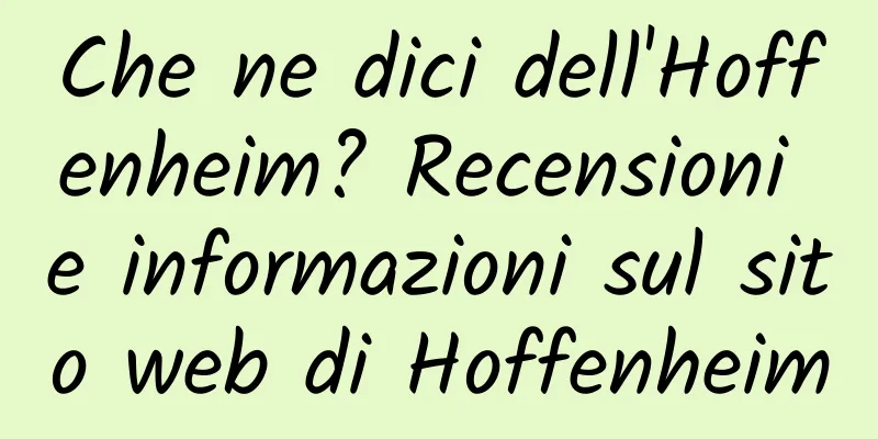 Che ne dici dell'Hoffenheim? Recensioni e informazioni sul sito web di Hoffenheim