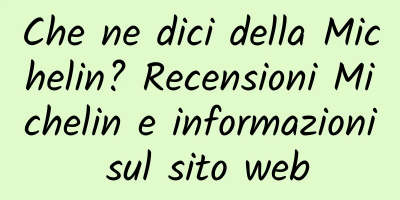 Che ne dici della Michelin? Recensioni Michelin e informazioni sul sito web