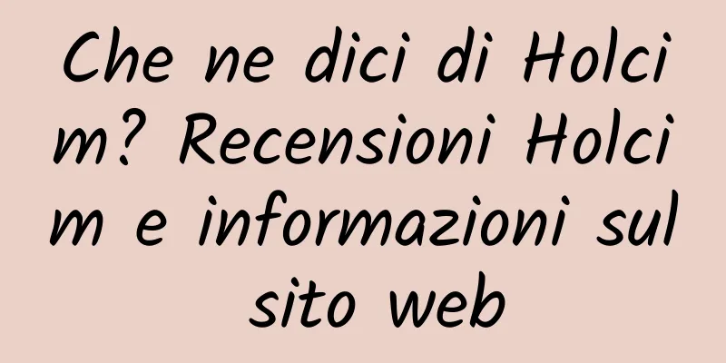 Che ne dici di Holcim? Recensioni Holcim e informazioni sul sito web