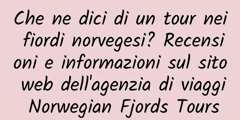 Che ne dici di un tour nei fiordi norvegesi? Recensioni e informazioni sul sito web dell'agenzia di viaggi Norwegian Fjords Tours