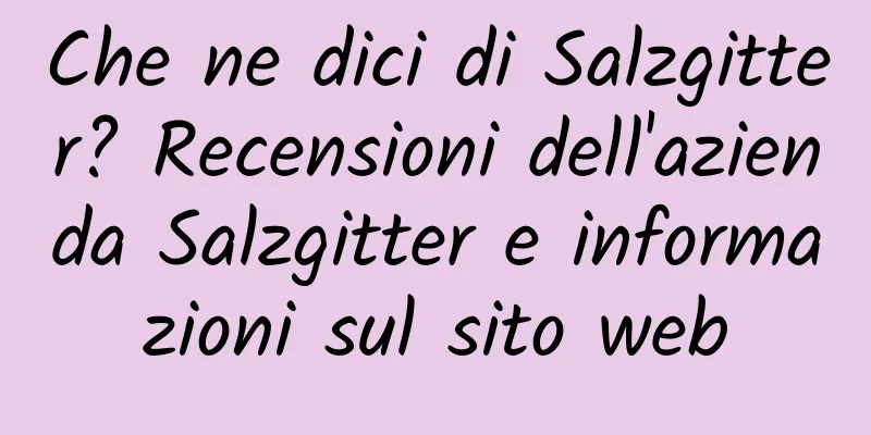 Che ne dici di Salzgitter? Recensioni dell'azienda Salzgitter e informazioni sul sito web