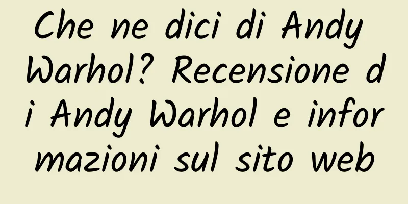 Che ne dici di Andy Warhol? Recensione di Andy Warhol e informazioni sul sito web