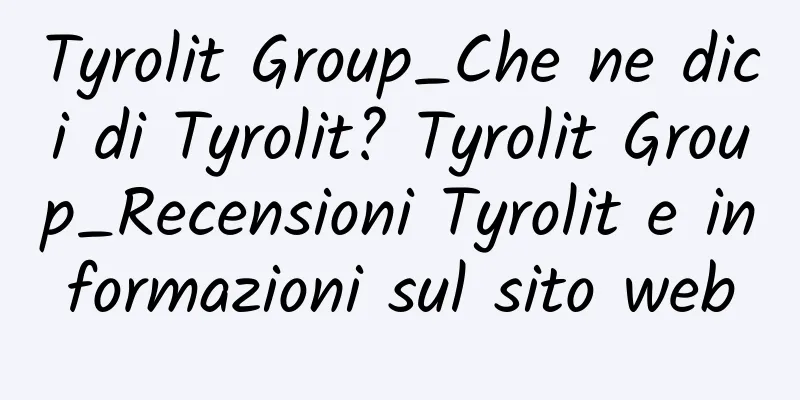 Tyrolit Group_Che ne dici di Tyrolit? Tyrolit Group_Recensioni Tyrolit e informazioni sul sito web
