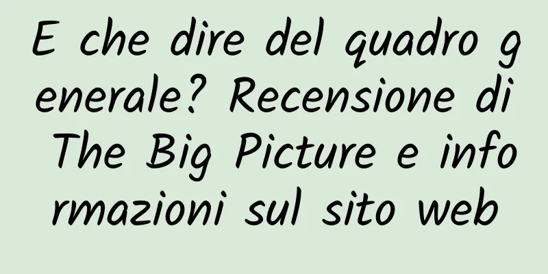 E che dire del quadro generale? Recensione di The Big Picture e informazioni sul sito web