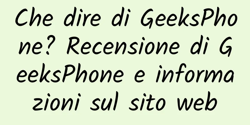 Che dire di GeeksPhone? Recensione di GeeksPhone e informazioni sul sito web