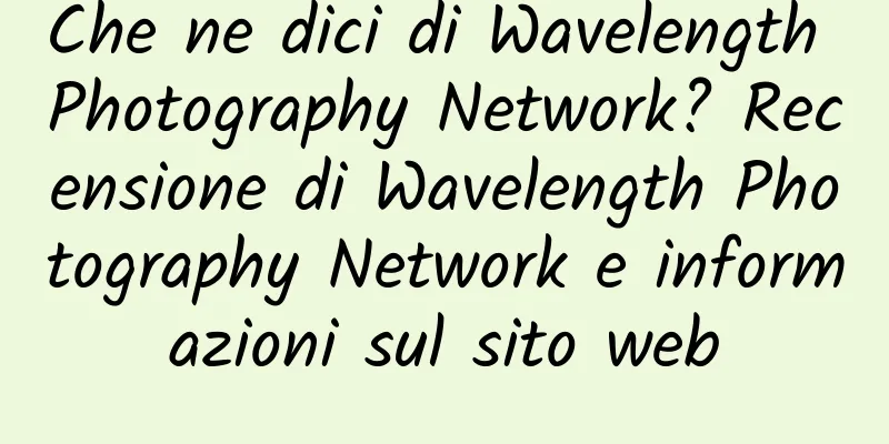 Che ne dici di Wavelength Photography Network? Recensione di Wavelength Photography Network e informazioni sul sito web