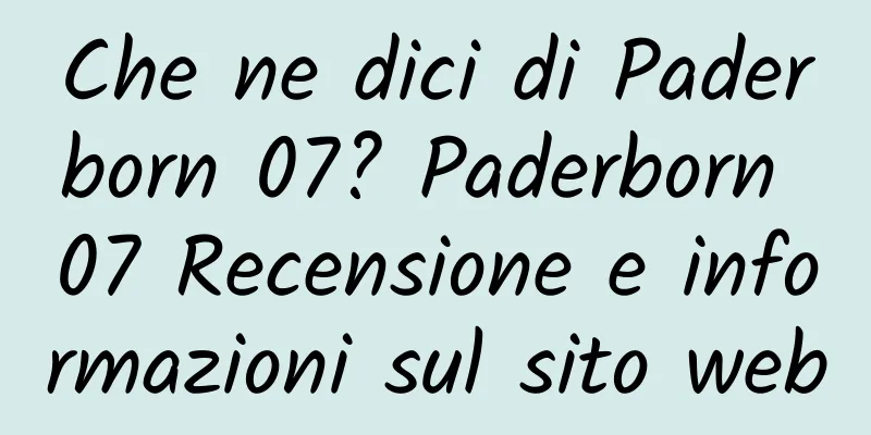 Che ne dici di Paderborn 07? Paderborn 07 Recensione e informazioni sul sito web