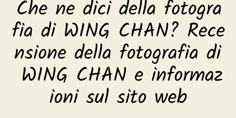 Che ne dici della fotografia di WING CHAN? Recensione della fotografia di WING CHAN e informazioni sul sito web
